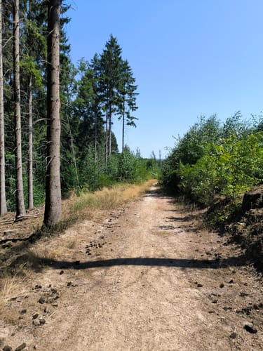 Eifelverein Langerwehe: Wanderweg 71