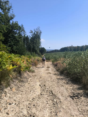 Eifelverein Langerwehe: Wanderweg 71
