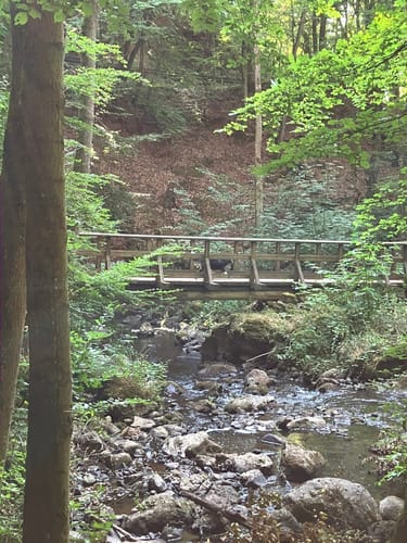 Durch die Strohner Schweiz