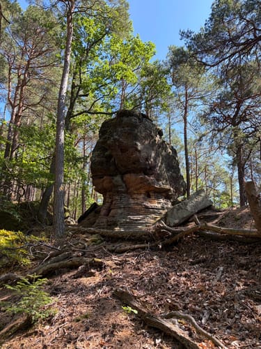 Kupferbergfelsen Altleininger Tal