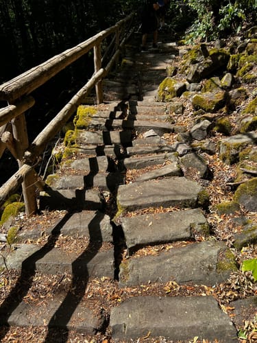 Naturlehrpfad Gangolfsberg