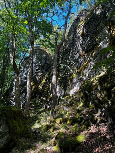 Naturlehrpfad Gangolfsberg