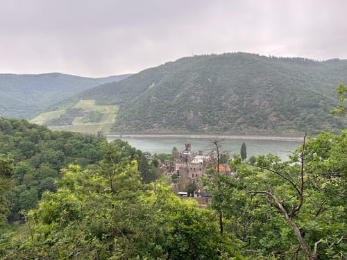 Morgenbachtal Rundweg ab Burg Rheinstein
