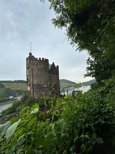 Morgenbachtal Rundweg ab Burg Rheinstein