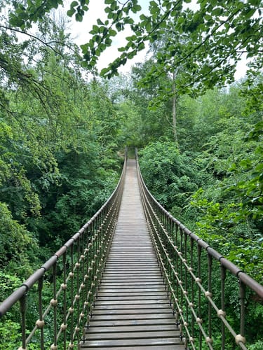 Morgenbachtal Rundweg ab Burg Rheinstein