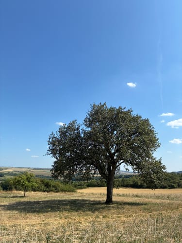 Grenzblickweg (Traumschleife)