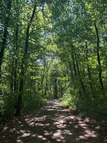 Grenzblickweg (Traumschleife)