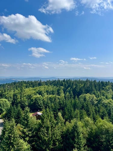 Großer Rabenberg ab Silberhütte