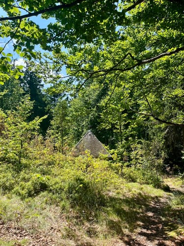 Großer Rabenberg ab Silberhütte
