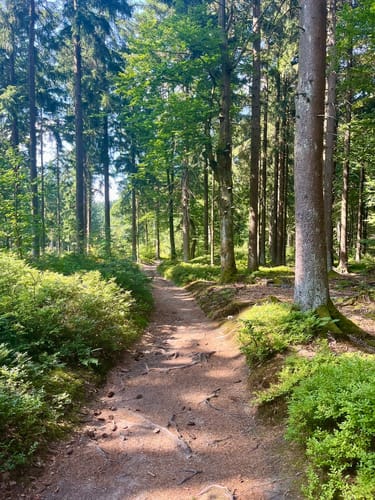 Großer Rabenberg ab Silberhütte