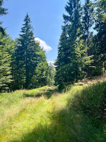 Großer Rabenberg ab Silberhütte