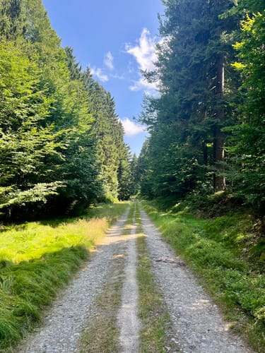 Großer Rabenberg ab Silberhütte