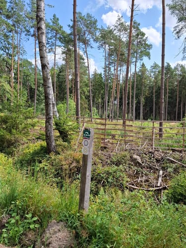 Südheide 'In einem Bächlein helle' W6m (mittlere Tour)