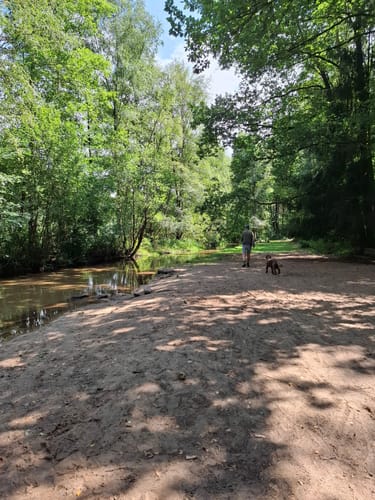 Südheide 'In einem Bächlein helle' W6m (mittlere Tour)