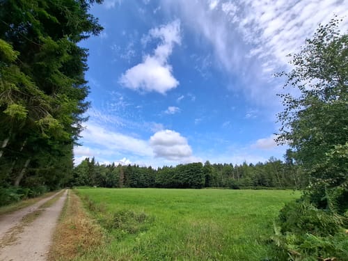Südheide 'In einem Bächlein helle' W6m (mittlere Tour)