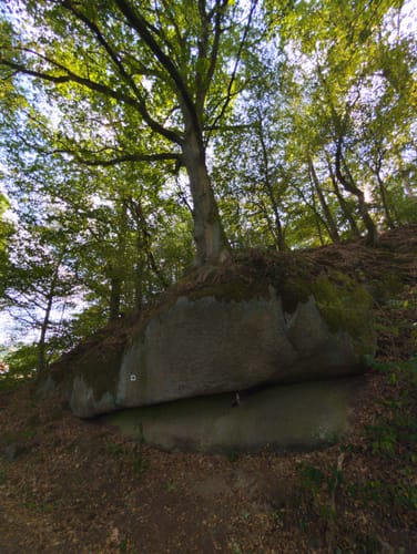 Hirschling - Katzheim - Regental