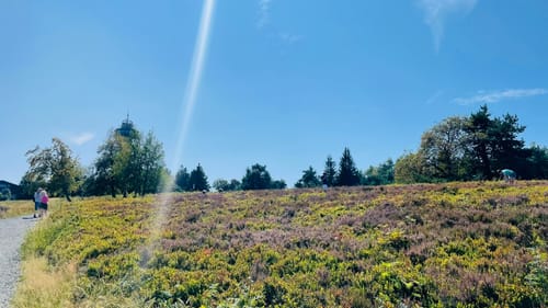 Auf den Ettelsberg ab Willingen