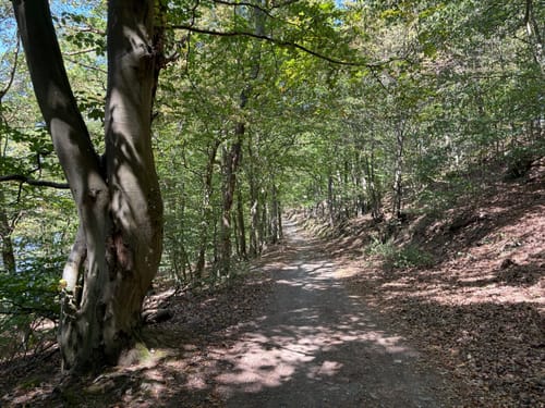 Eifelfjorde – Von Einruhr zur Urftstaumauer