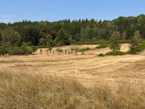 Eifelfjorde – Von Einruhr zur Urftstaumauer