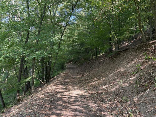 Eifelfjorde – Von Einruhr zur Urftstaumauer