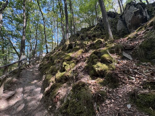 Eifelfjorde – Von Einruhr zur Urftstaumauer