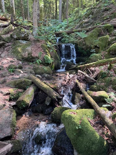Sankt Märgen zu den Zweribach-Wasserfällen