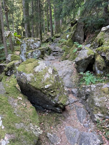 Sankt Märgen zu den Zweribach-Wasserfällen