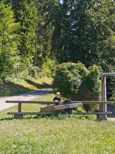 Naturpark-AugenBlick-Runde auf den Wächtersberg in Wildberg