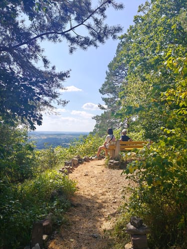 Naturpark-AugenBlick-Runde auf den Wächtersberg in Wildberg