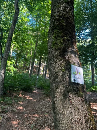 Arius-Tour (Premiumwanderweg)