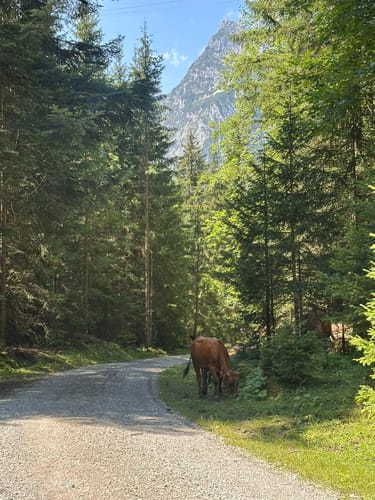 Kreuzeck ab der Kreuzeckbahn bei Schmölz