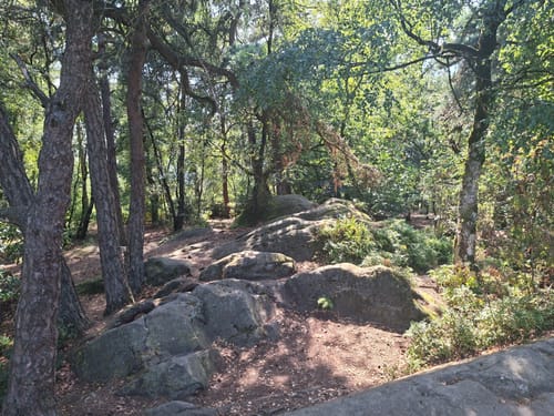 Teutoburger Wald: Tecklenburger Bergpfad und Bocketal