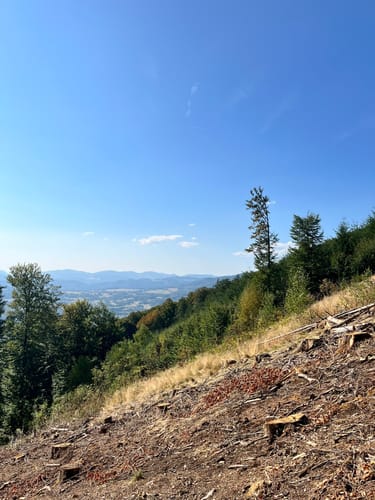 Hotzenpfad (Premiumwanderweg)