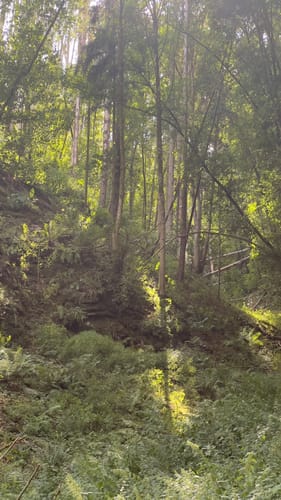 HeimatSpur Wasserfall-Erlebnisroute