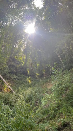 HeimatSpur Wasserfall-Erlebnisroute