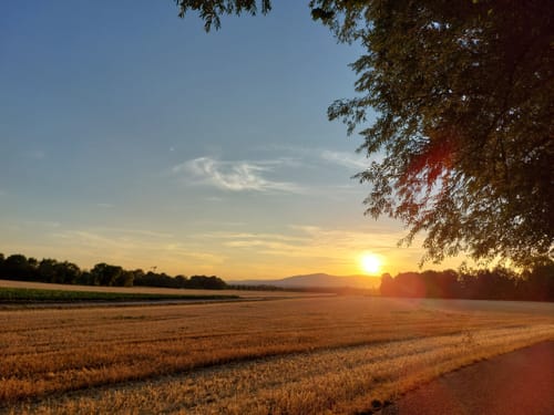 Bad Vilbel - Eschersheim