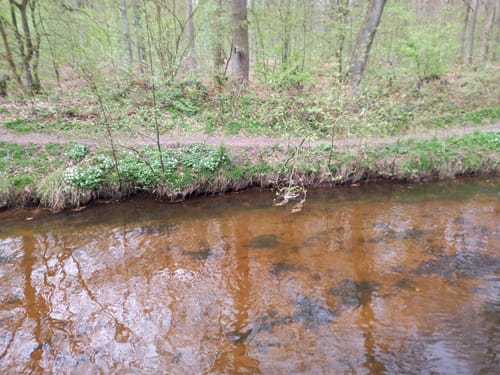 Dinslaken: Spaziergang durch das Rotbachtal