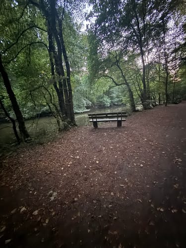In den Frankfurter Stadtwald