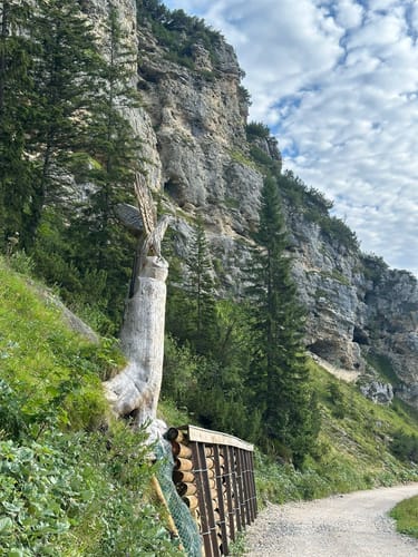 Alpspitz Bergstation - Hochalm - Kreuzeck Bergstation