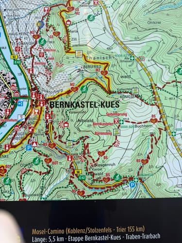 Bernkasteler Bärensteig (Moselsteig Seitensprung)