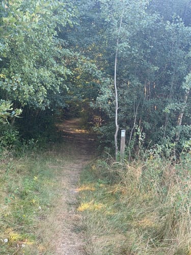 Bernkasteler Bärensteig (Moselsteig Seitensprung)