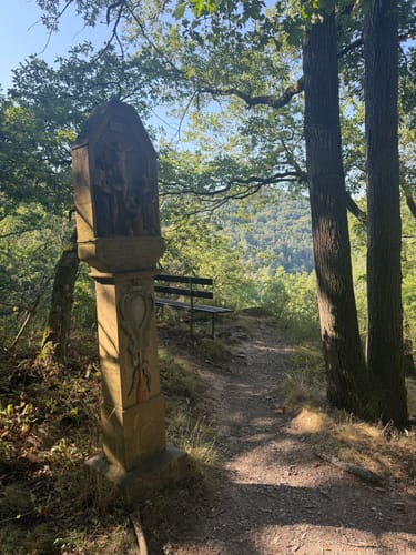 Bernkasteler Bärensteig (Moselsteig Seitensprung)