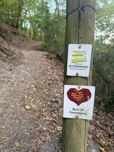 Bernkasteler Bärensteig (Moselsteig Seitensprung)