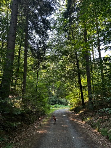 Obere Schleuse über Hinterjermsdorf