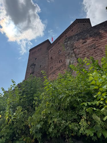 Burg Trifels