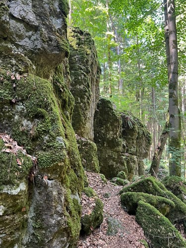 Neukirchner Höhlenweg