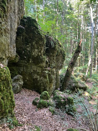Neukirchner Höhlenweg