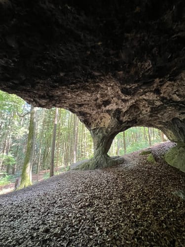 Neukirchner Höhlenweg