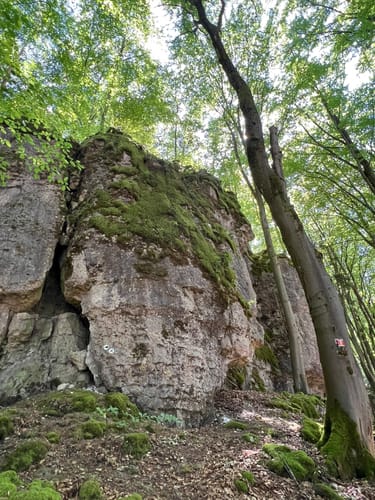 Neukirchner Höhlenweg