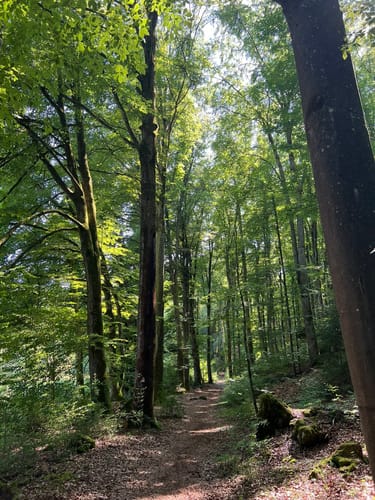 Neukirchner Höhlenweg